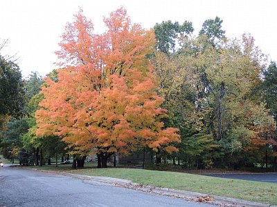 Podzimní zbarvení okolí Hillsdale